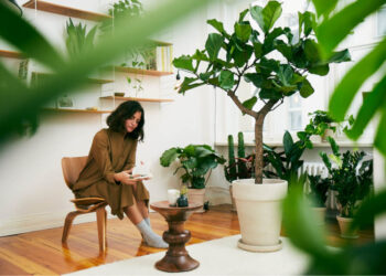 rośliny do domu jakie?