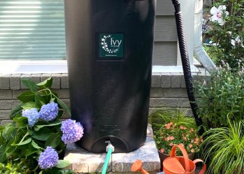 Zbiorniki na deszczówkę pozwalają gromadzić wodę opadową do nawadniania roślin ogrodowych