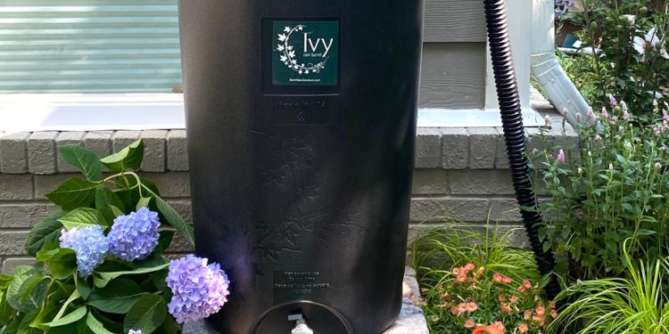 Zbiorniki na deszczówkę pozwalają gromadzić wodę opadową do nawadniania roślin ogrodowych