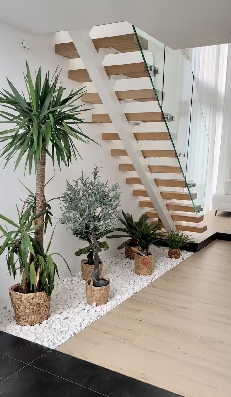 Astilbe z różowymi pióropuszami kwiatów w wilgotnej glebie pod schodami