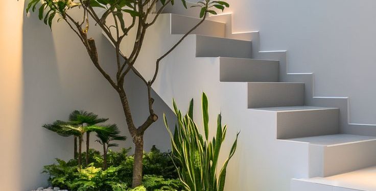 Schody ogrodowe otoczone bujnymi zielonymi roślinami w zacienionym wilgotnym miejscu