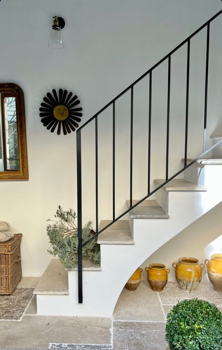 Gęste kępy paproci Nephrolepis z falistymi liśćmi pod betonowymi schodami