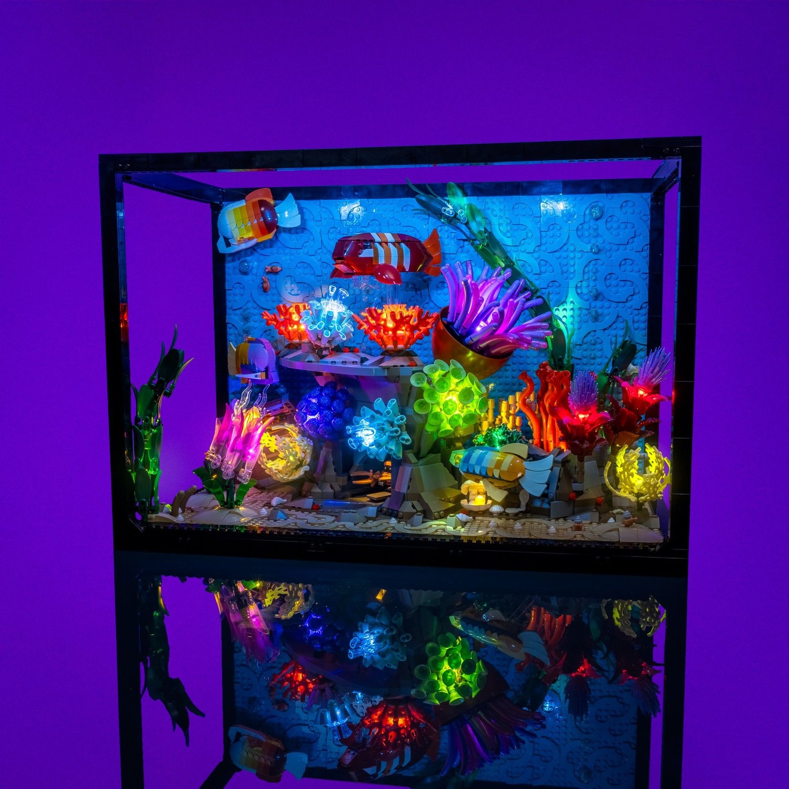 Warunki dla aktywności nocnych mieszkańców Oprawa Aqua LED 9831 w czasie pomiaru jasności nocnego oświetlenia