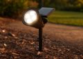 Oświetlenie ogrodu na energię słoneczną rozjaśnia rośliny po zmroku